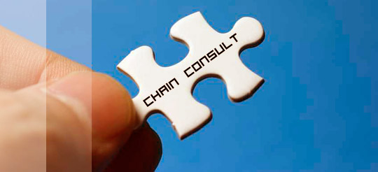 chain consult interim and project management